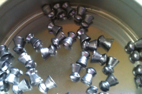 pellets